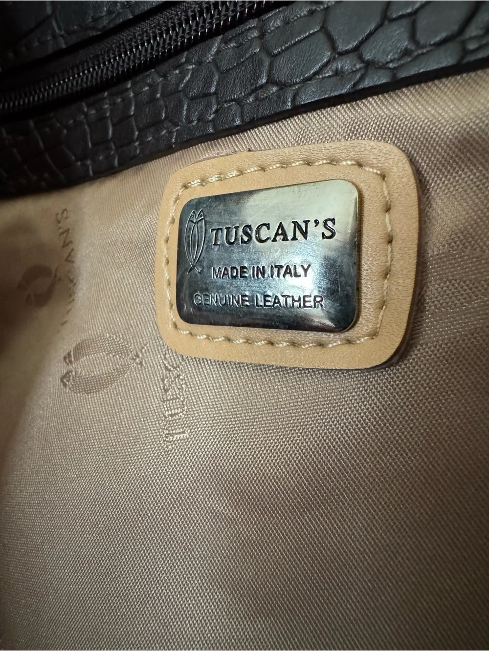 Croc-Embossed Leather Dark Brown Tote with Chestnut Handles